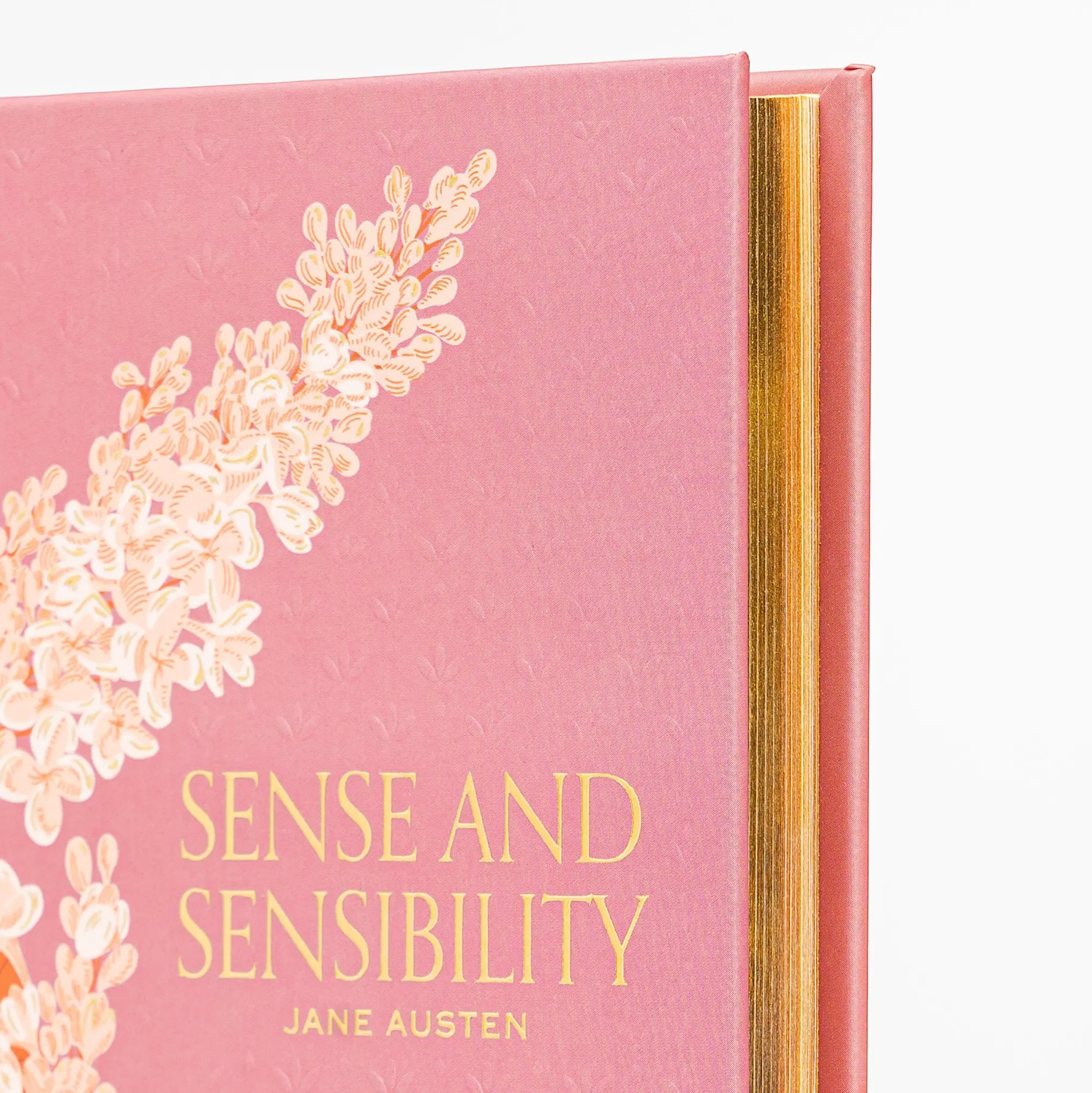 Bild: 9781454952954 | Sense and Sensibility (Special Edition) | Jane Austen | Buch | 2024