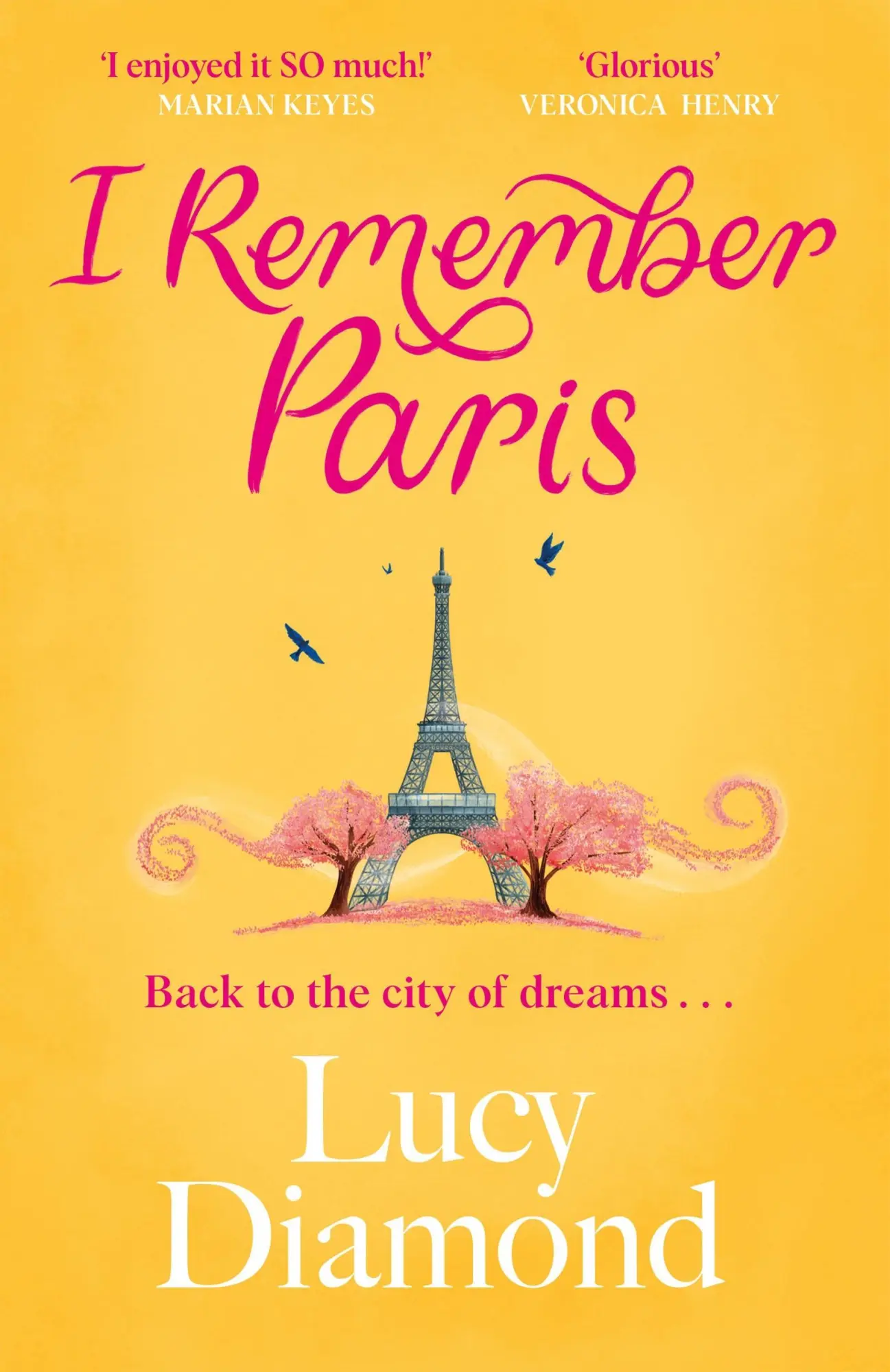 Cover: 9781529432954 | I Remember Paris | Lucy Diamond | Taschenbuch | Englisch | 2025