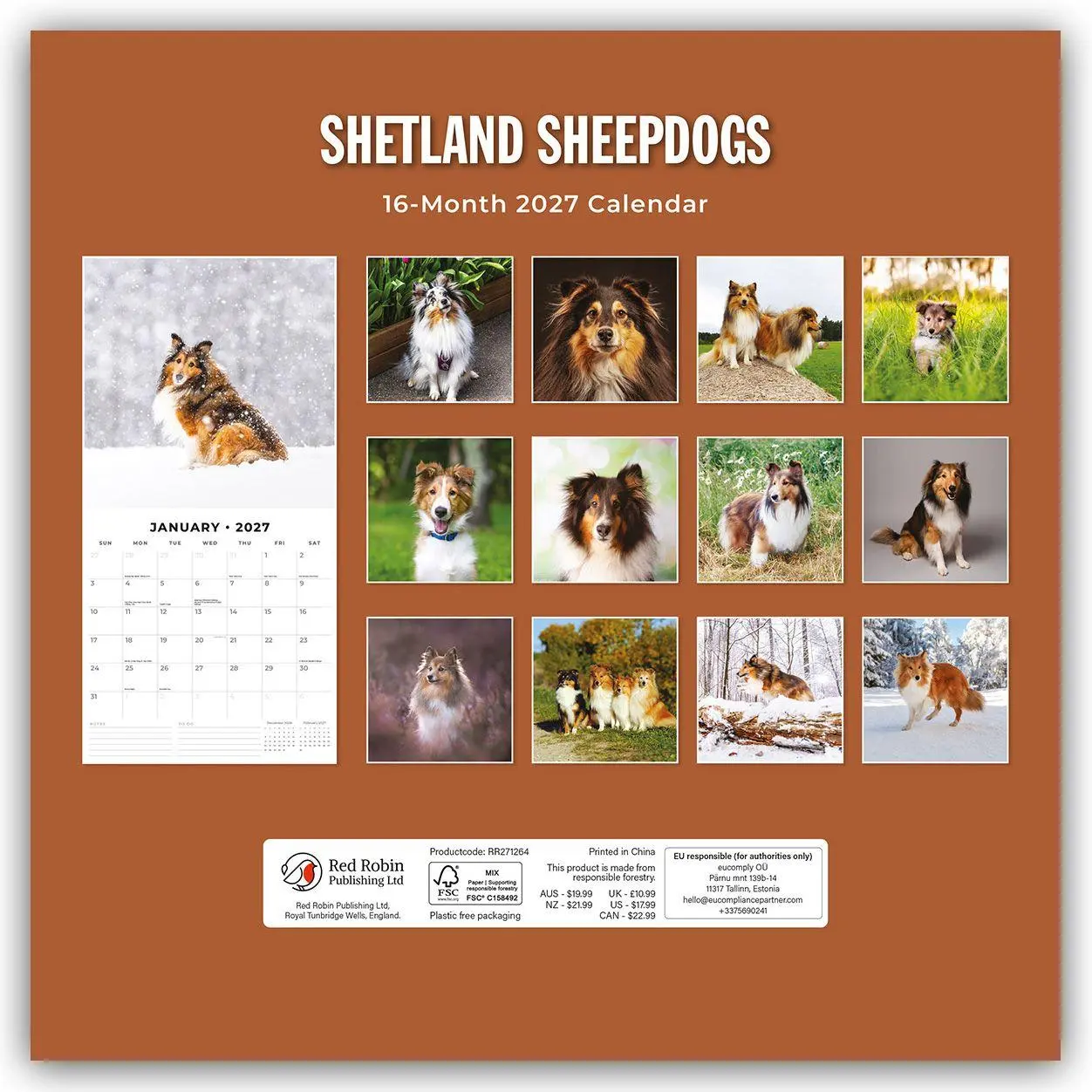 Bild: 9781837012954 | Shetland Sheepdogs - Sheltie 2027 - 16-Monatskalender | Robin Red