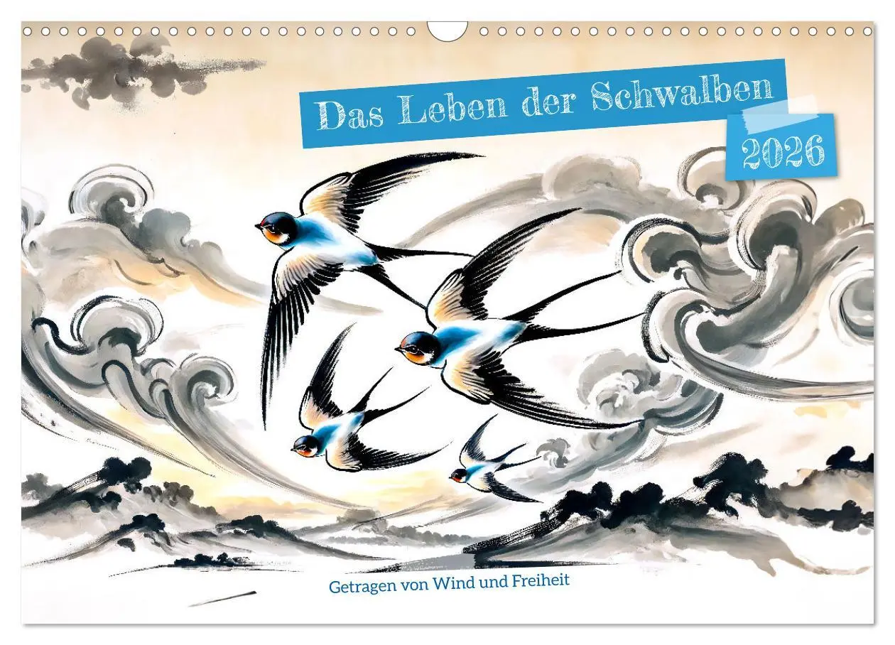 Cover: 9783457342954 | Das Leben der Schwalben - Getragen von Wind und Freiheit...