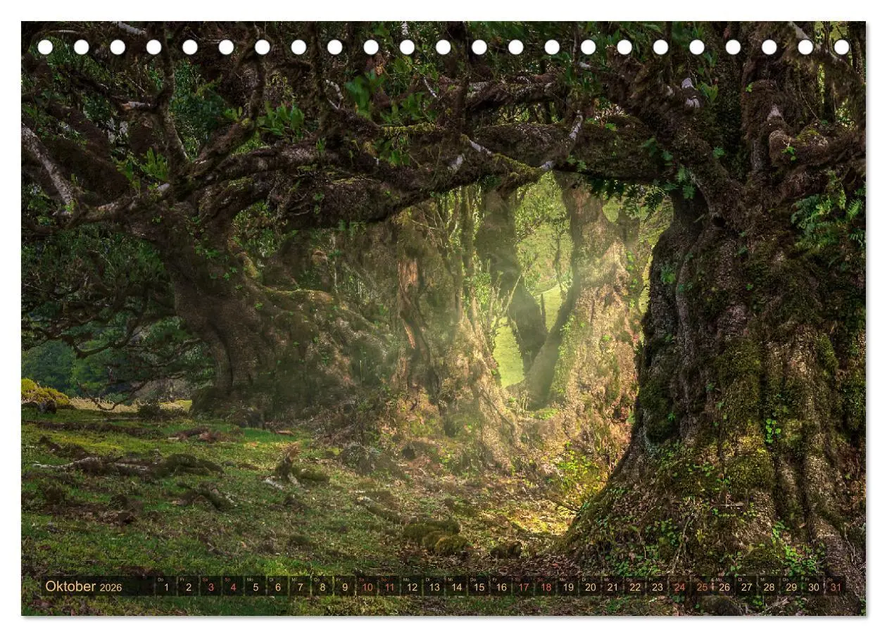 Bild: 9783516122954 | Madeira, Insel zwischen Himmel und Meer (Tischkalender 2026 DIN A5...
