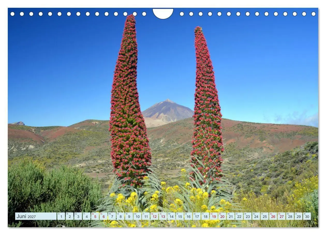 Bild: 9783569522954 | Teneriffa - Insel der Glückseligen (Wandkalender 2027 DIN A4 quer),...