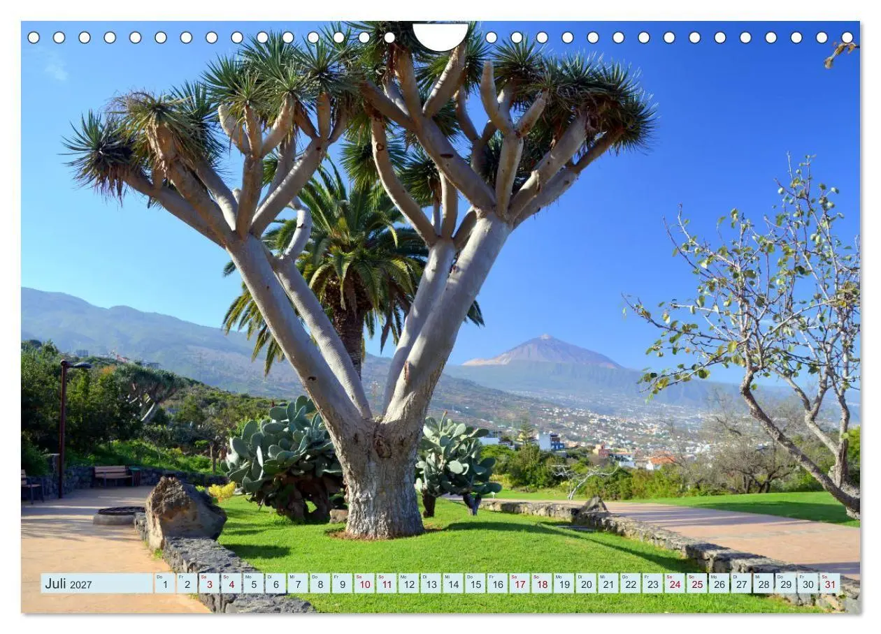Bild: 9783569522954 | Teneriffa - Insel der Glückseligen (Wandkalender 2027 DIN A4 quer),...