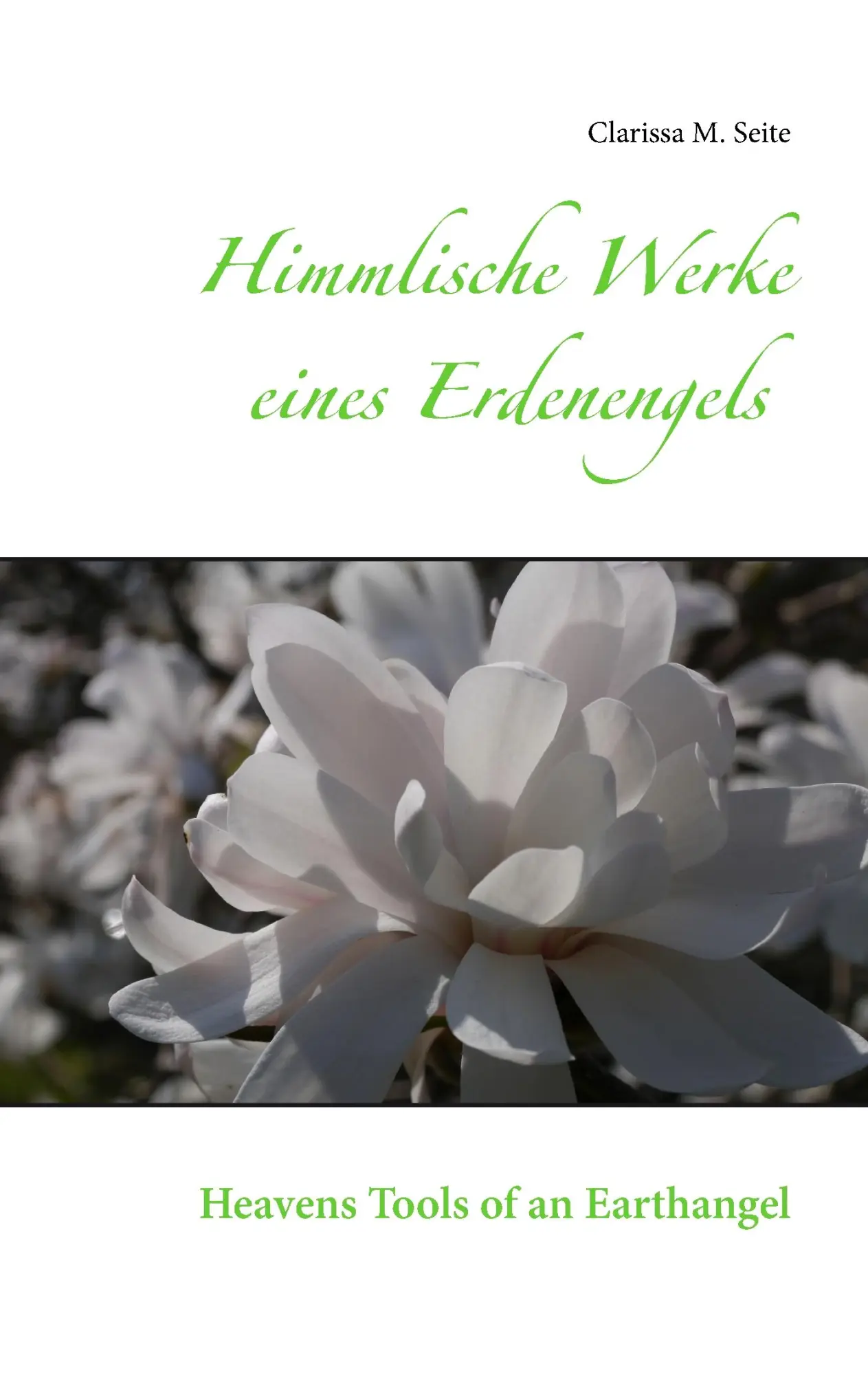 Cover: 9783744822954 | Himmlische Werke eines Erdenengels | Heavens Tools of an Earthangel