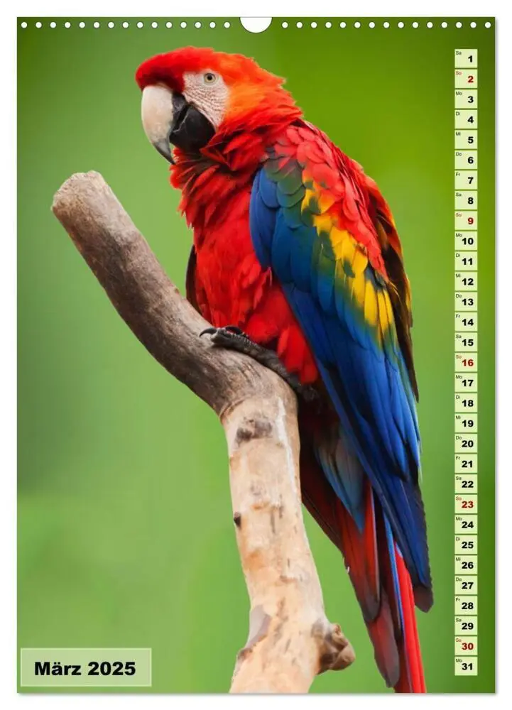 Bild: 9783457163054 | Die buntesten Vögel der Welt (Wandkalender 2025 DIN A3 hoch),...