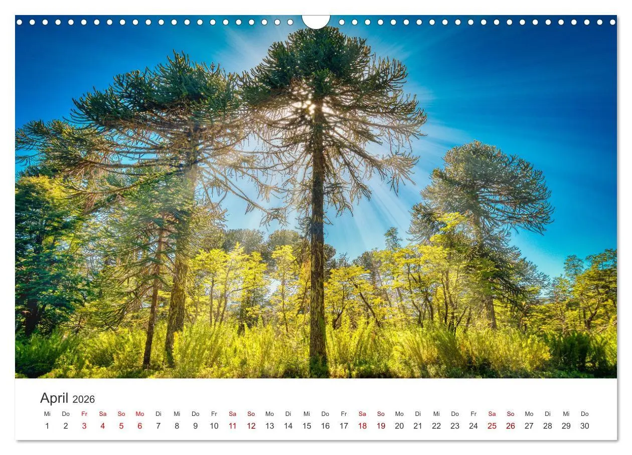 Bild: 9783457613054 | Chile - Das langgestreckte Land. (Wandkalender 2026 DIN A3 quer),...