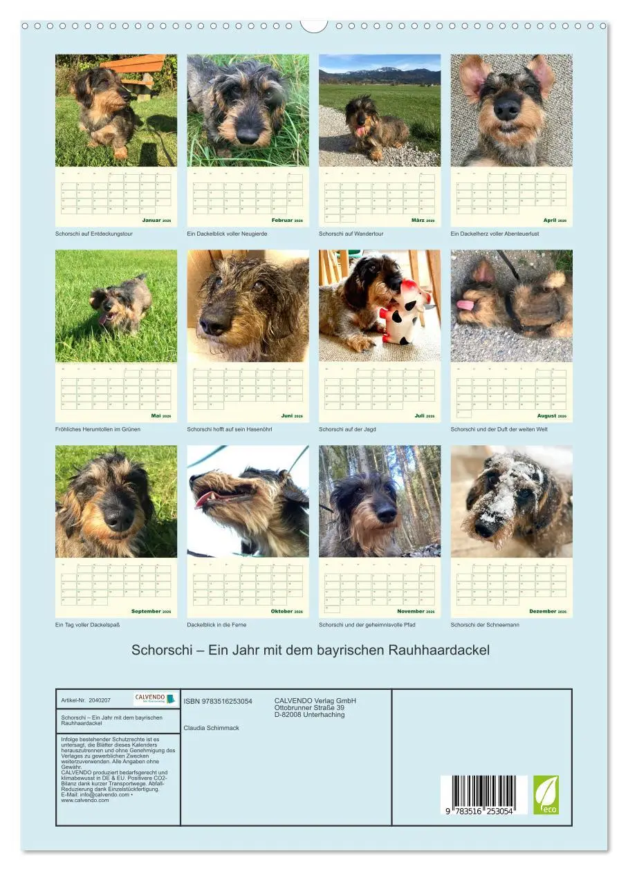Bild: 9783516253054 | Schorschi - Ein Jahr mit dem bayrischen Rauhhaardackel...
