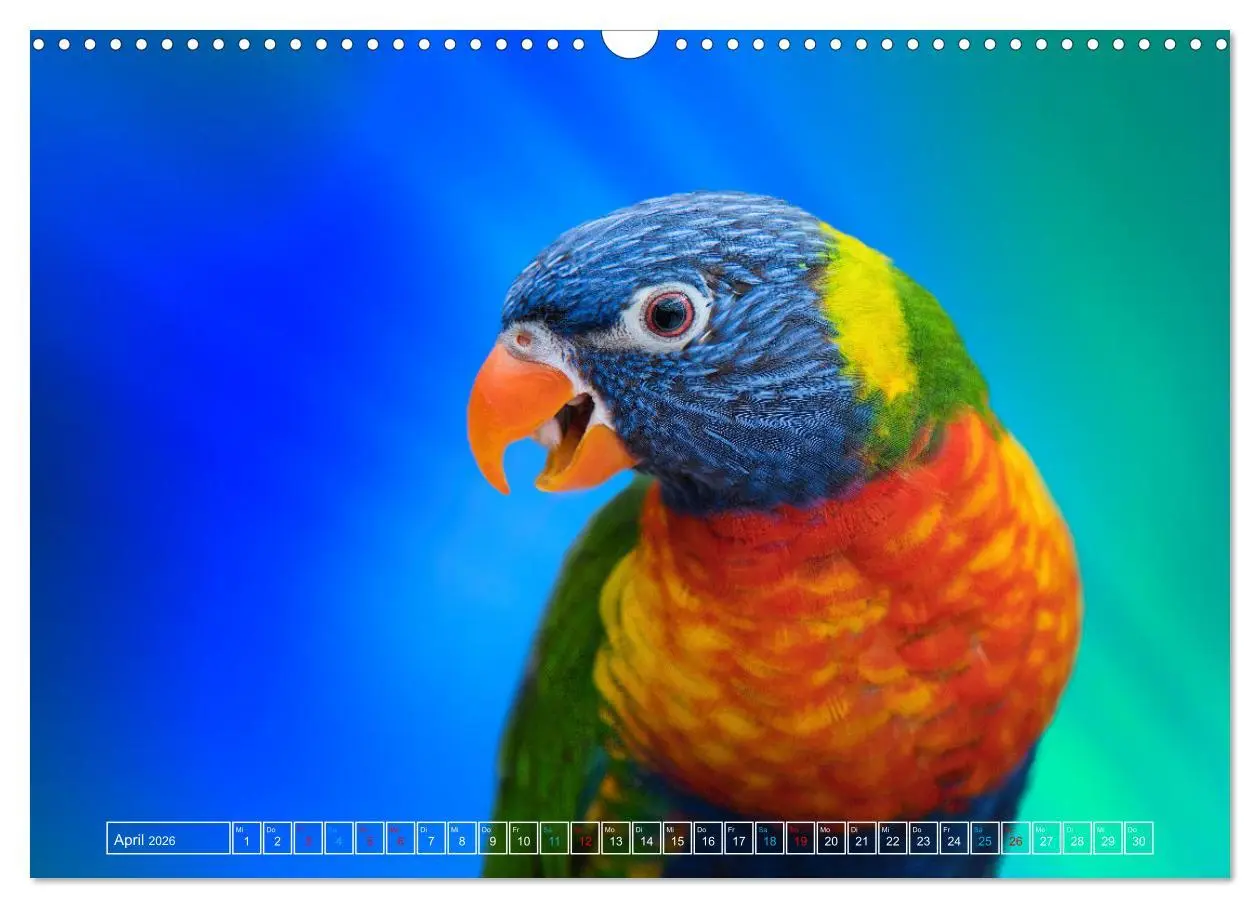 Bild: 9783457523254 | Die bunte Welt der Vögel (Wandkalender 2026 DIN A3 quer), CALVENDO...
