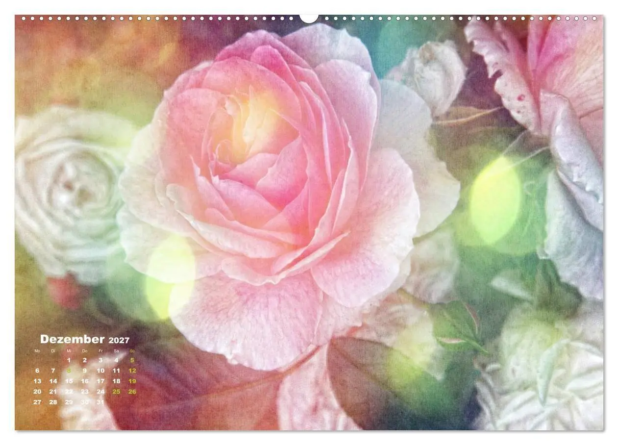 Bild: 9783594073254 | Rosen Romantik (Wandkalender 2027 DIN A2 quer), CALVENDO...