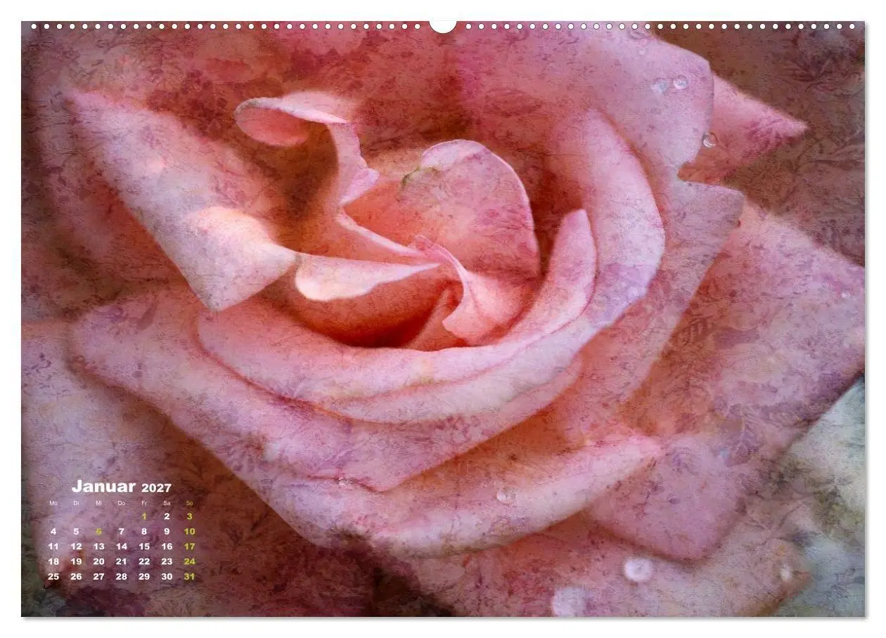 Bild: 9783594073254 | Rosen Romantik (Wandkalender 2027 DIN A2 quer), CALVENDO...