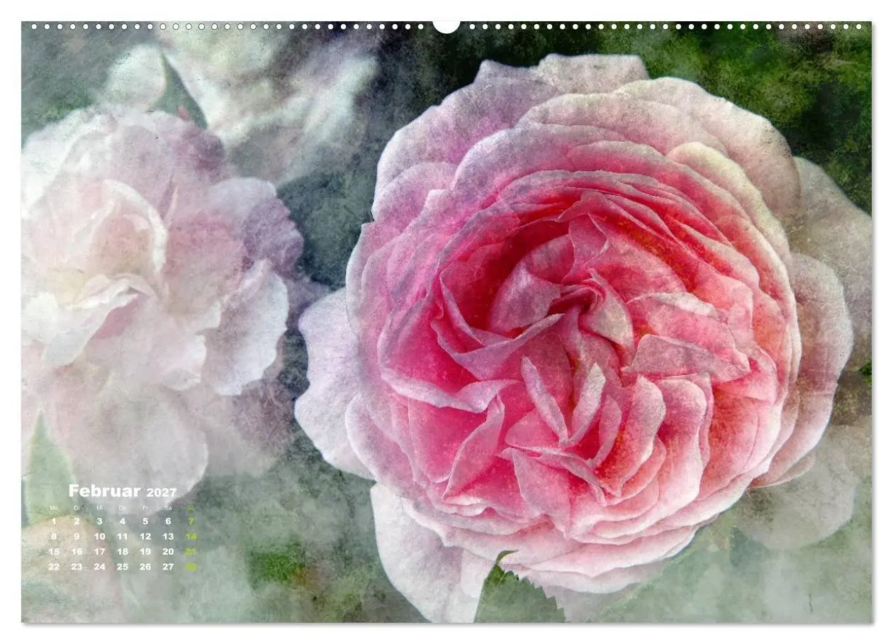 Bild: 9783594073254 | Rosen Romantik (Wandkalender 2027 DIN A2 quer), CALVENDO...