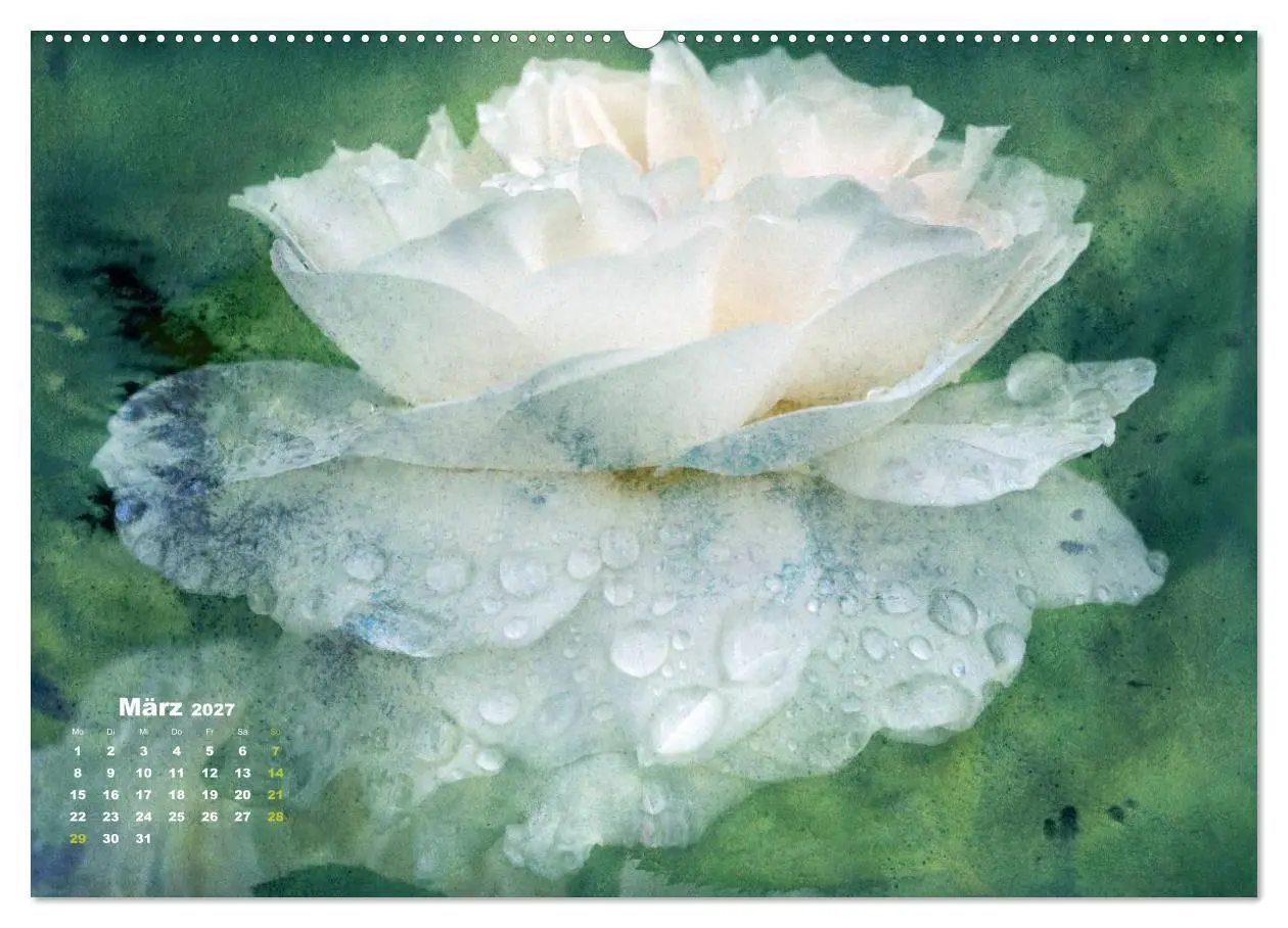 Bild: 9783594073254 | Rosen Romantik (Wandkalender 2027 DIN A2 quer), CALVENDO...