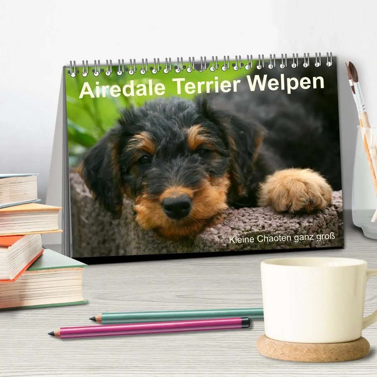 Bild: 9783516153354 | Airedale Terrier Welpen (Tischkalender 2026 DIN A5 quer), CALVENDO...