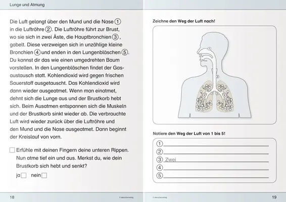 Bild: 9783939293354 | Ich kenne meinen Körper - Blutkreislauf und Atmung | GmbH (u. a.)