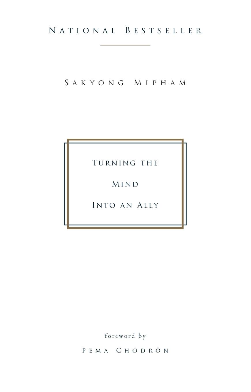 Cover: 9781573223454 | Turning the Mind Into an Ally | Sakyong Mipham | Taschenbuch | 2004