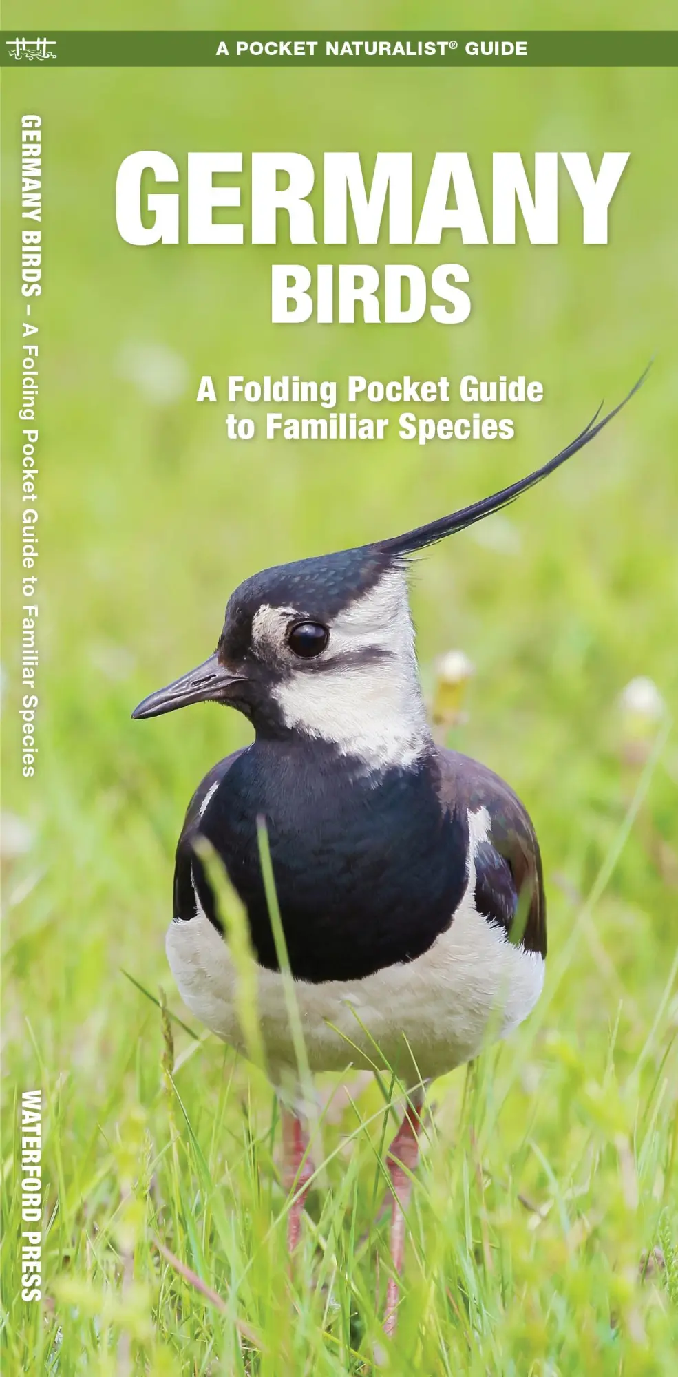 Cover: 9781620053454 | Germany Birds | A Folding Pocket Guide to Familiar Species | Broschüre