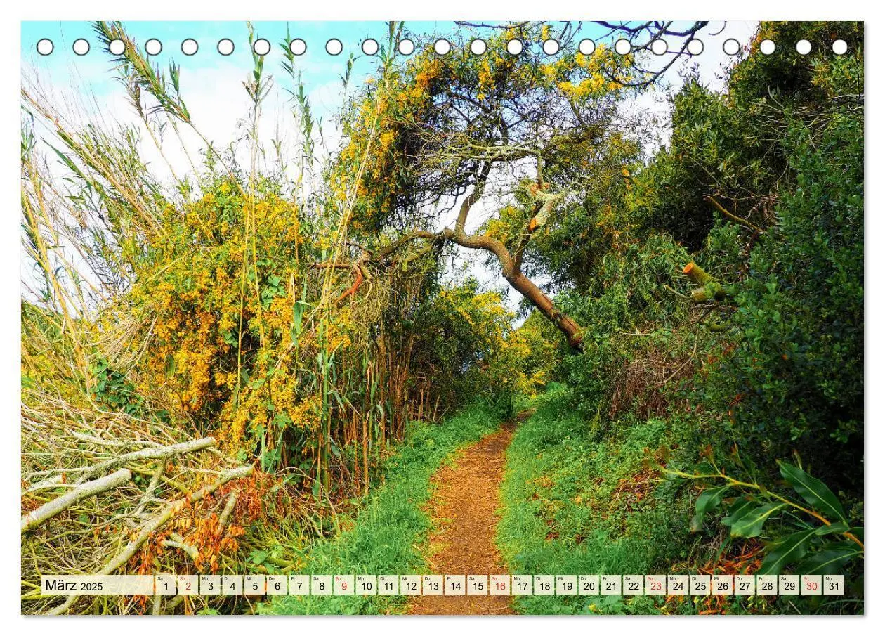 Bild: 9783435273454 | Portugal - Rota Vicentina (Tischkalender 2025 DIN A5 quer),...