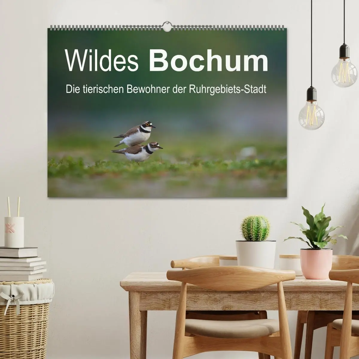Bild: 9783457503454 | Wildes Bochum (Wandkalender 2026 DIN A2 quer), CALVENDO Monatskalender