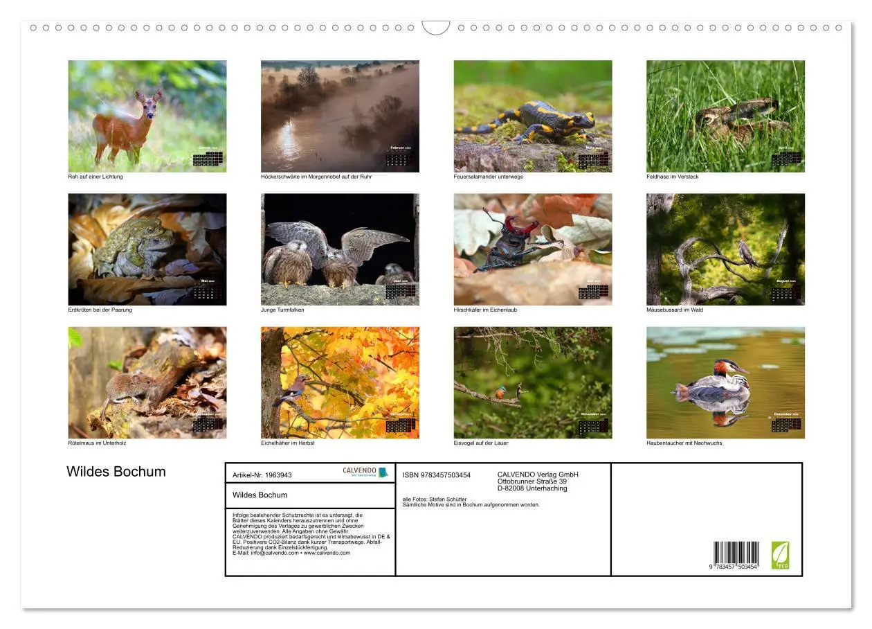 Bild: 9783457503454 | Wildes Bochum (Wandkalender 2026 DIN A2 quer), CALVENDO Monatskalender