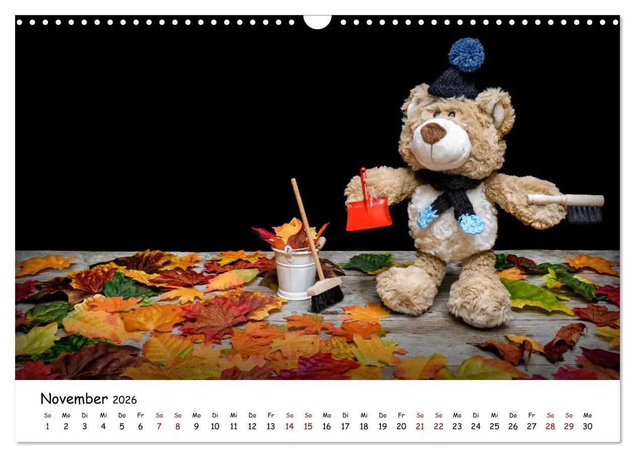 Bild: 9783457813454 | Eddy, der Teddy (Wandkalender 2026 DIN A3 quer), CALVENDO...