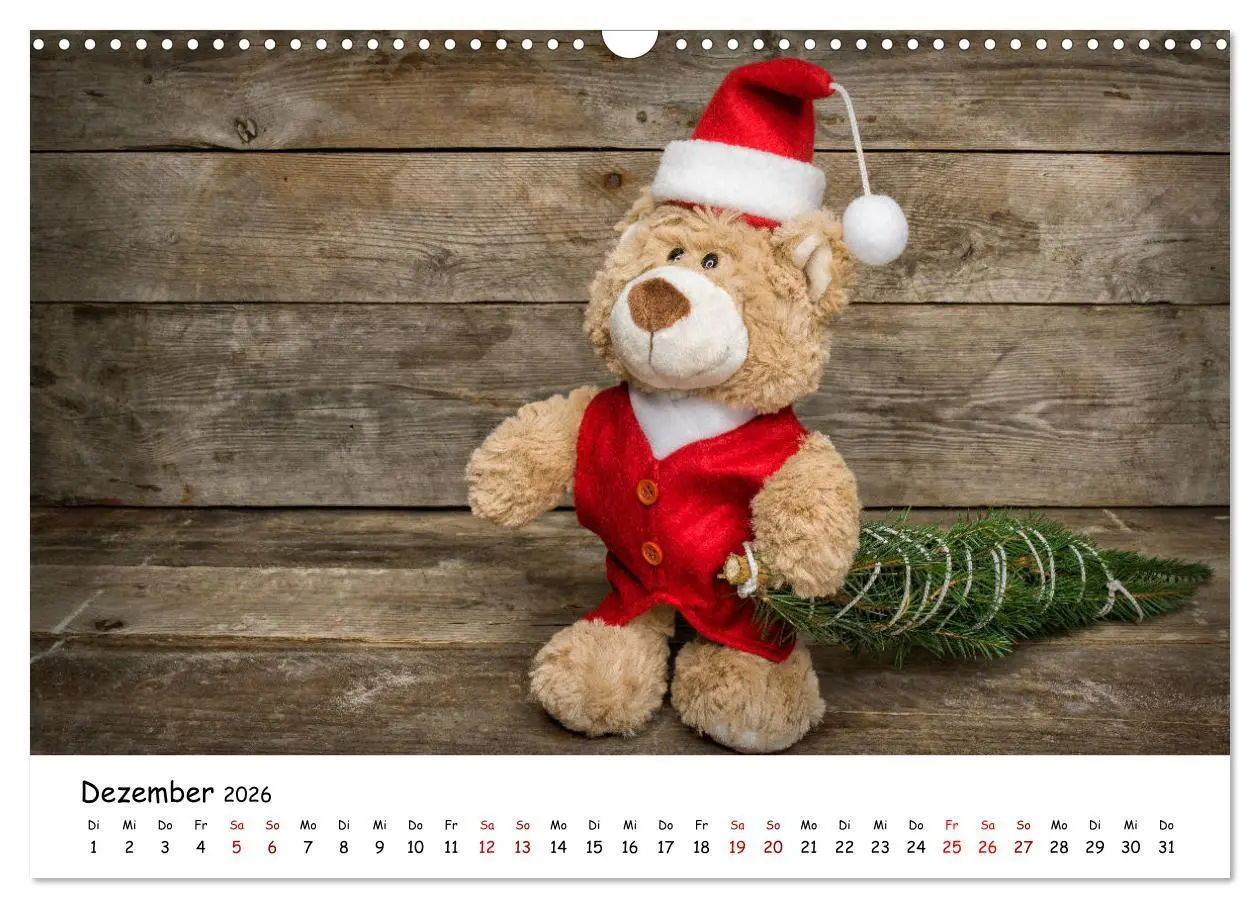 Bild: 9783457813454 | Eddy, der Teddy (Wandkalender 2026 DIN A3 quer), CALVENDO...