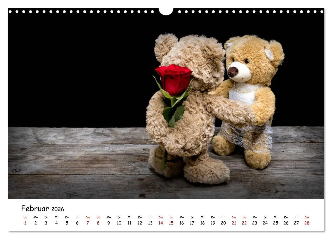 Bild: 9783457813454 | Eddy, der Teddy (Wandkalender 2026 DIN A3 quer), CALVENDO...