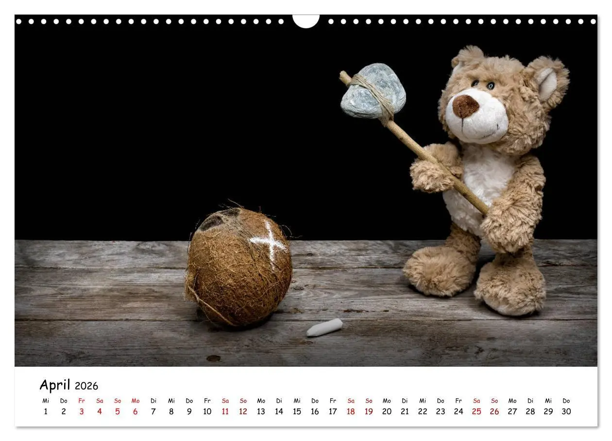 Bild: 9783457813454 | Eddy, der Teddy (Wandkalender 2026 DIN A3 quer), CALVENDO...