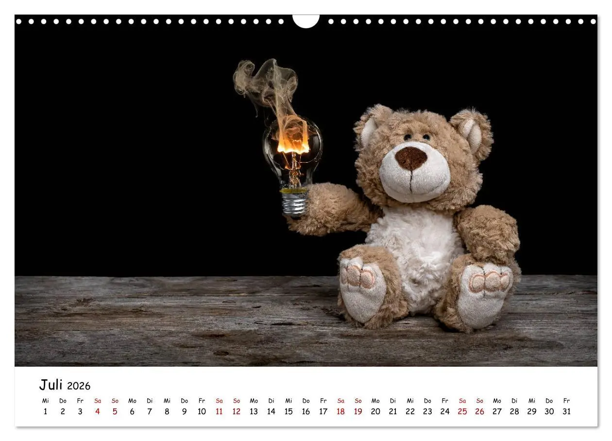 Bild: 9783457813454 | Eddy, der Teddy (Wandkalender 2026 DIN A3 quer), CALVENDO...