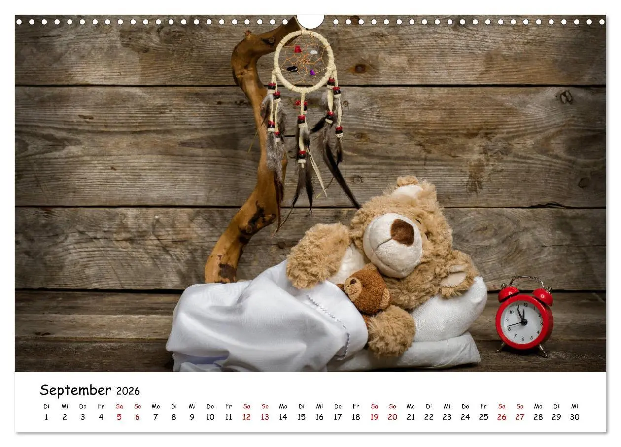 Bild: 9783457813454 | Eddy, der Teddy (Wandkalender 2026 DIN A3 quer), CALVENDO...