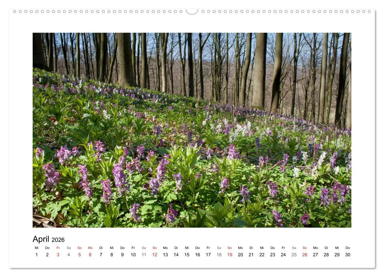 Bild: 9783457723654 | Impressionen aus Ostwestfalen-Lippe (Wandkalender 2026 DIN A2...