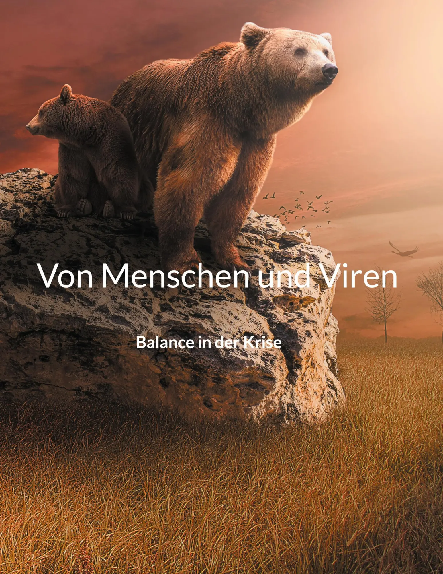 Von Menschen und Viren: Balance in der Krise