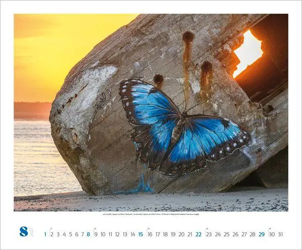 Bild: 9783819303654 | Street Art 2027 | Verlag Korsch | Kalender | 14 S. | Deutsch | 2027