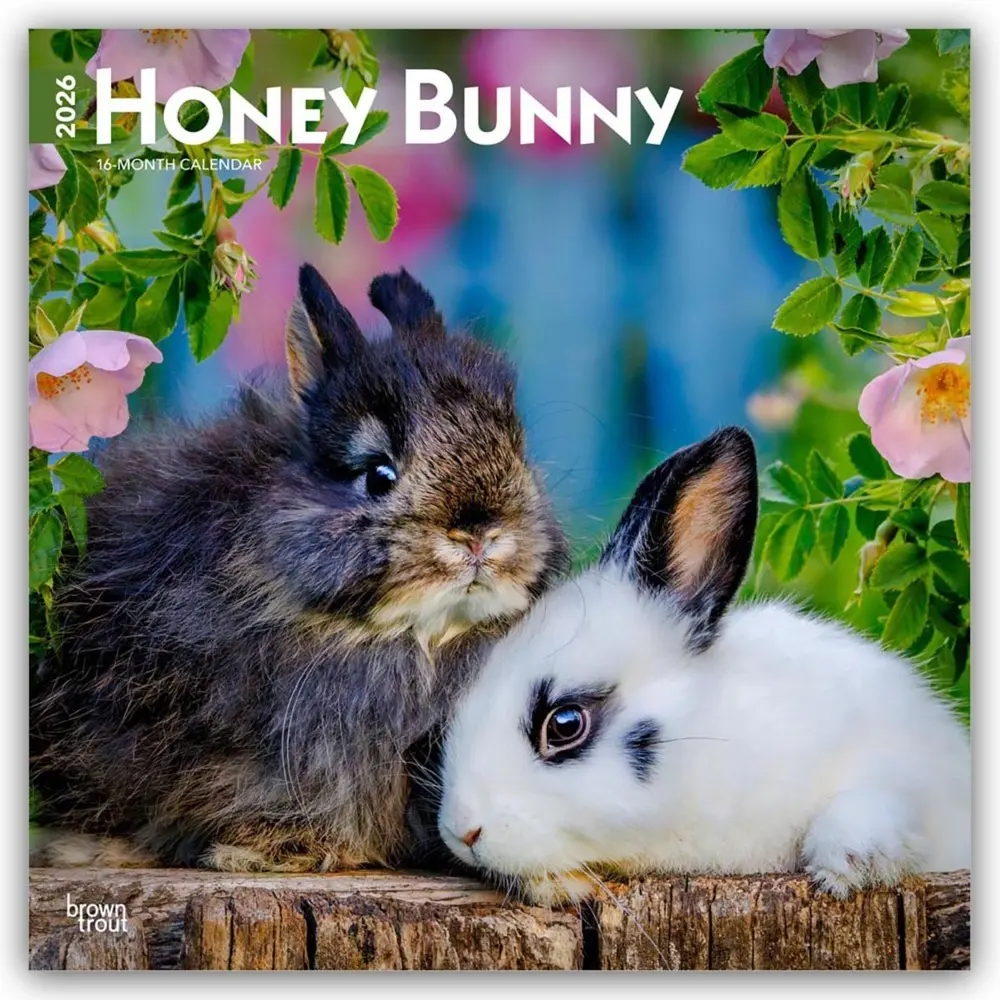 Cover: 9798330703654 | Honey Bunny 2026 12 X 24 Inch (Hanging) Monthly Square Wall...
