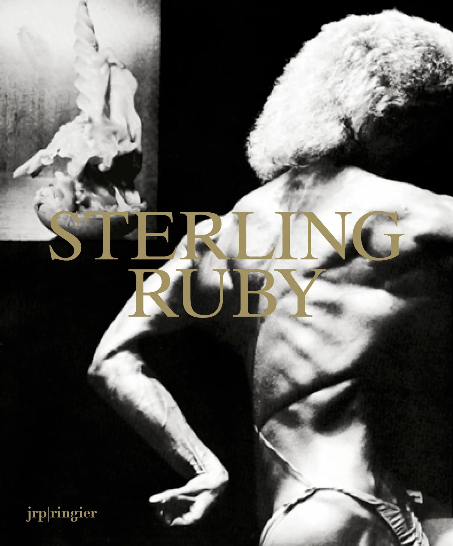 Cover: 9783037643754 | Sterling Ruby | Robert Hobbs (u. a.) | Taschenbuch | 2014