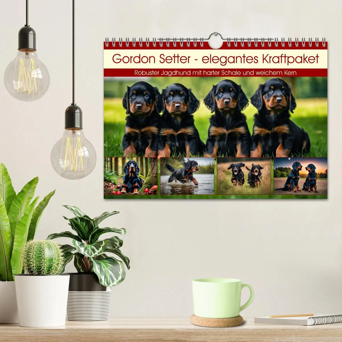 Bild: 9783457333754 | Gordon Setter - elegantes Kraftpaket (Wandkalender 2026 DIN A4...