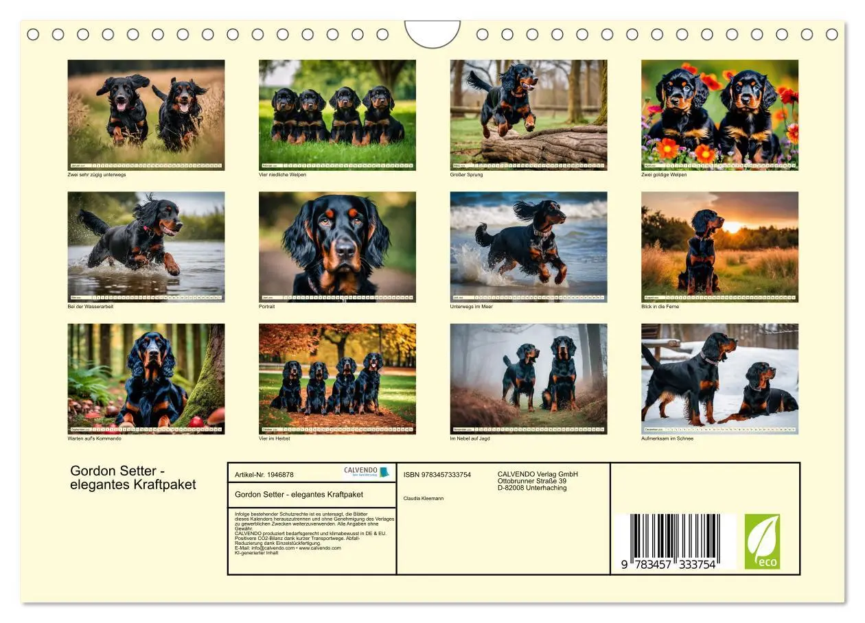 Bild: 9783457333754 | Gordon Setter - elegantes Kraftpaket (Wandkalender 2026 DIN A4...