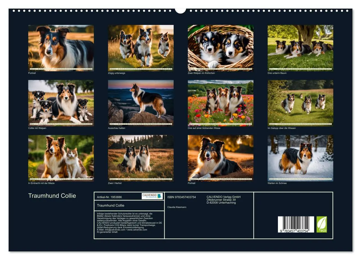 Bild: 9783457403754 | Traumhund Collie (hochwertiger Premium Wandkalender 2026 DIN A2...