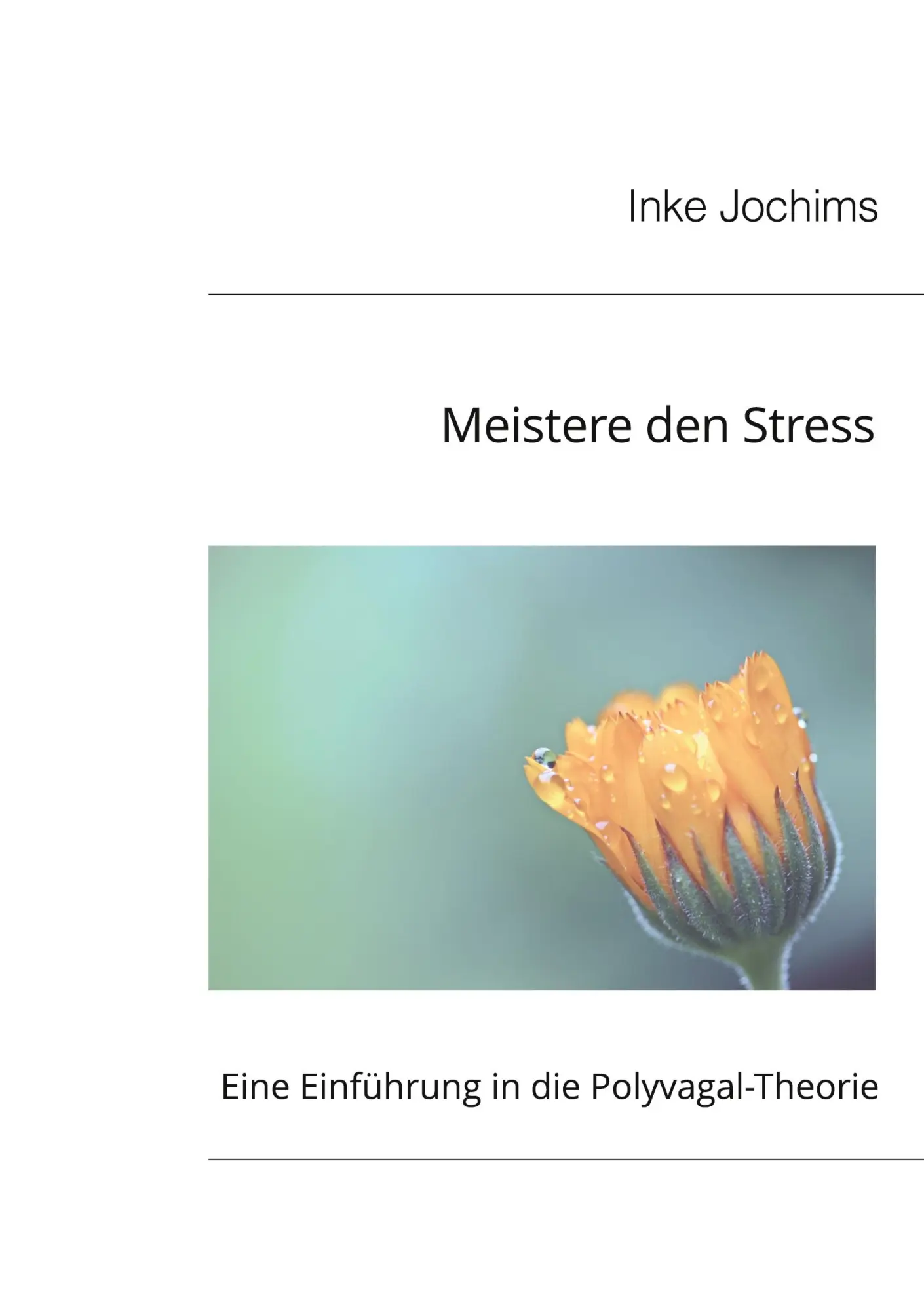 Cover: 9783769353754 | Meistere den Stress | Eine Einführung in die Polyvagal-Theorie | Buch