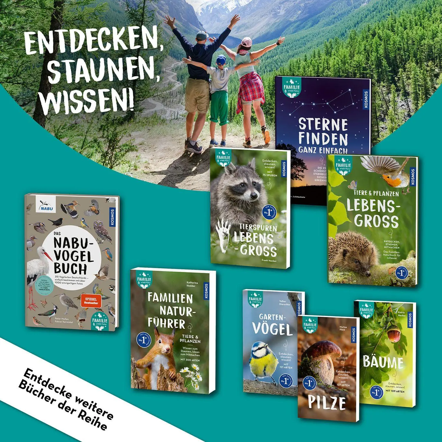 Bild: 9783440183854 | Sterne finden ganz einfach | Klaus M. Schittenhelm | Buch | 96 S.