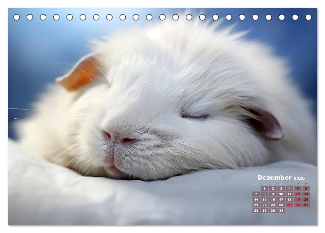 Bild: 9783457493854 | Wenn sie schlafen... (Tischkalender 2026 DIN A5 quer), CALVENDO...