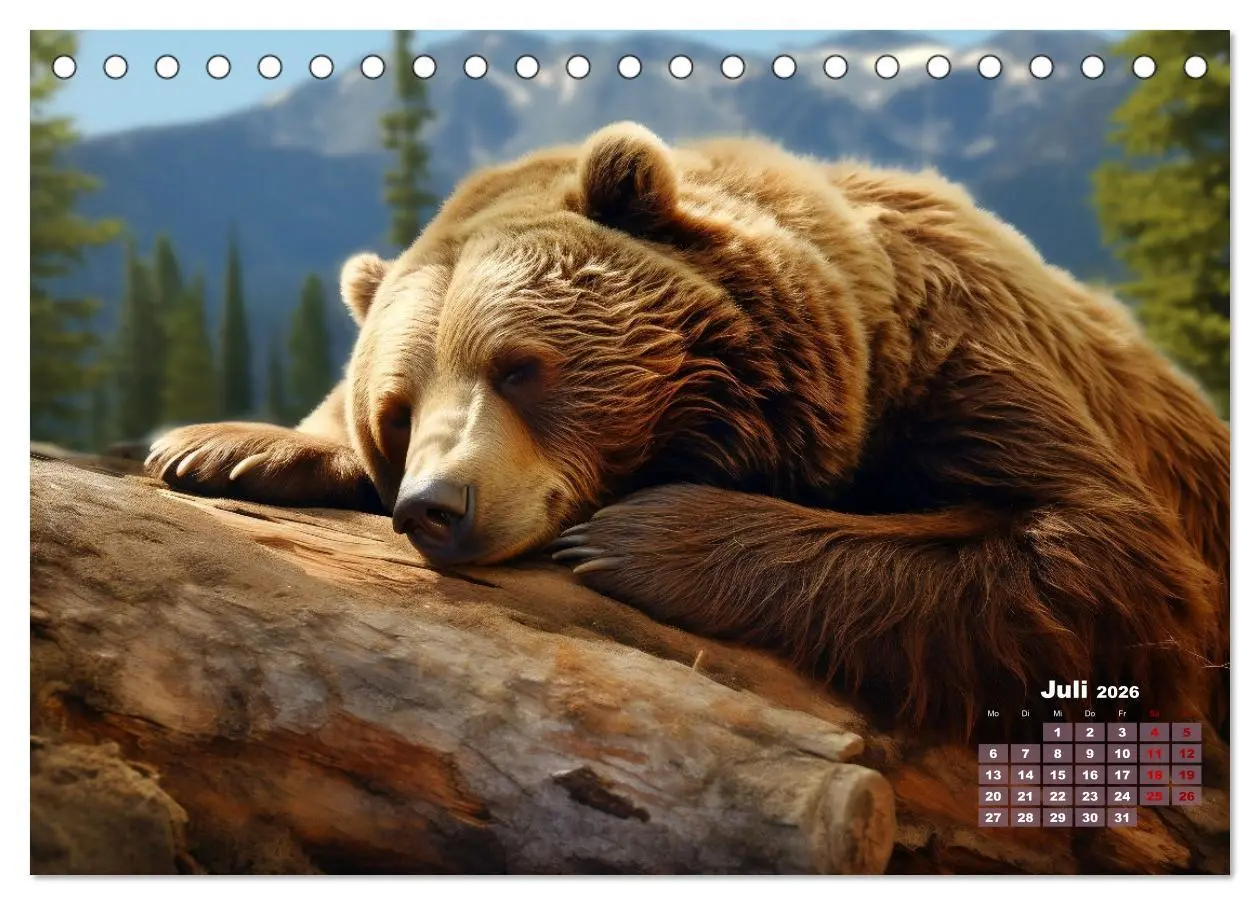 Bild: 9783457493854 | Wenn sie schlafen... (Tischkalender 2026 DIN A5 quer), CALVENDO...