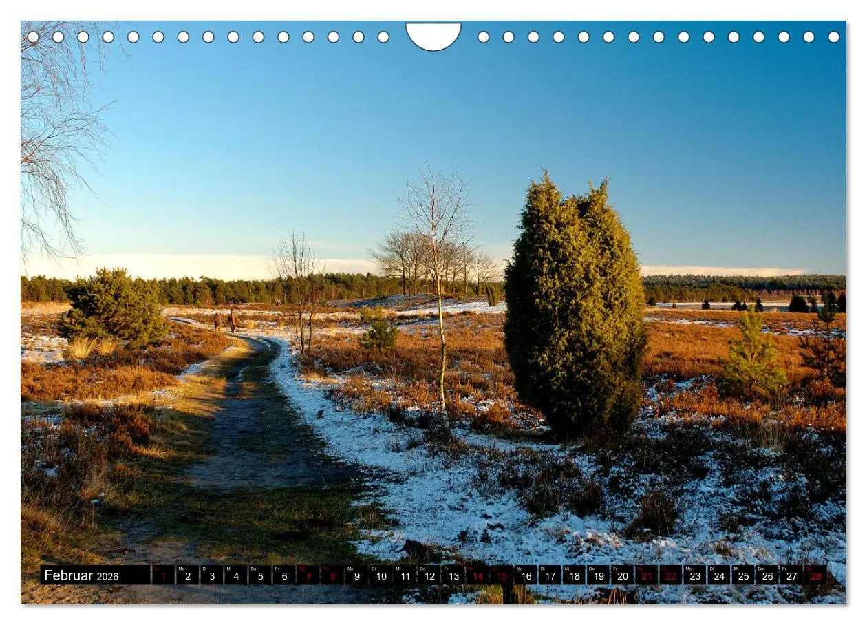 Bild: 9783457873854 | Lüneburger Heide (Wandkalender 2026 DIN A4 quer), CALVENDO...