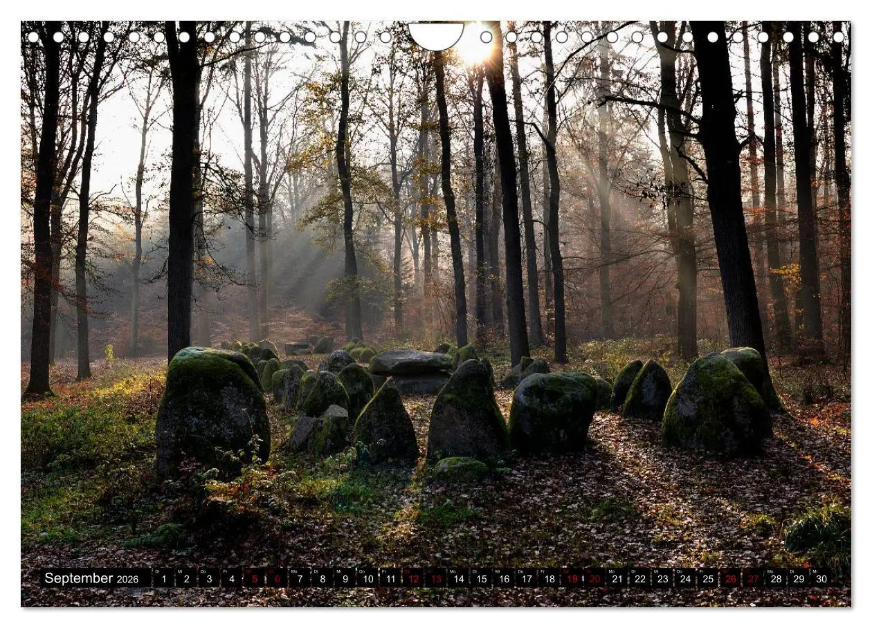 Bild: 9783457873854 | Lüneburger Heide (Wandkalender 2026 DIN A4 quer), CALVENDO...