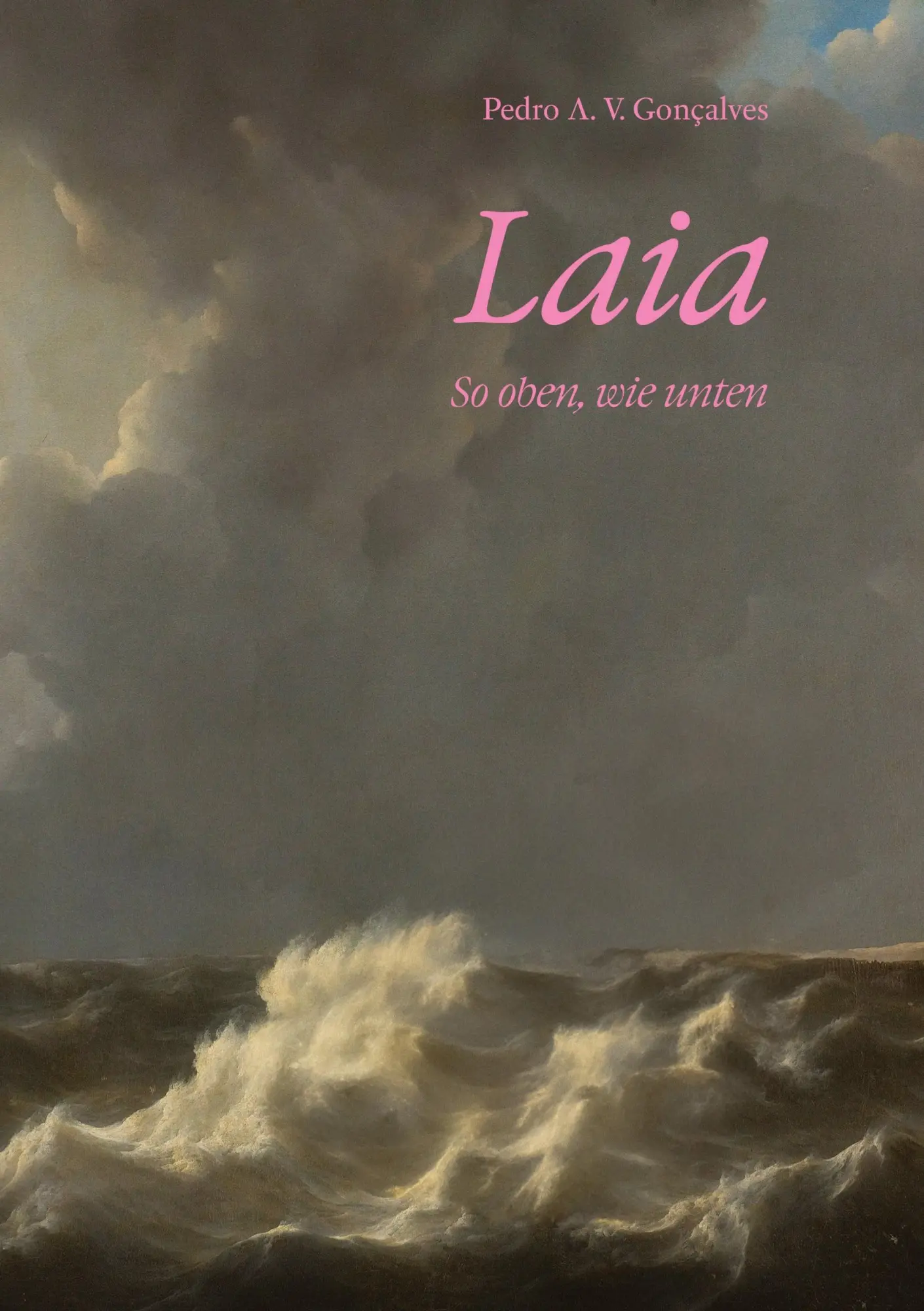 Cover: 9783347934054 | Laia | wie oben, so unten | Pedro A. V. Gonçalves | Taschenbuch | 2025