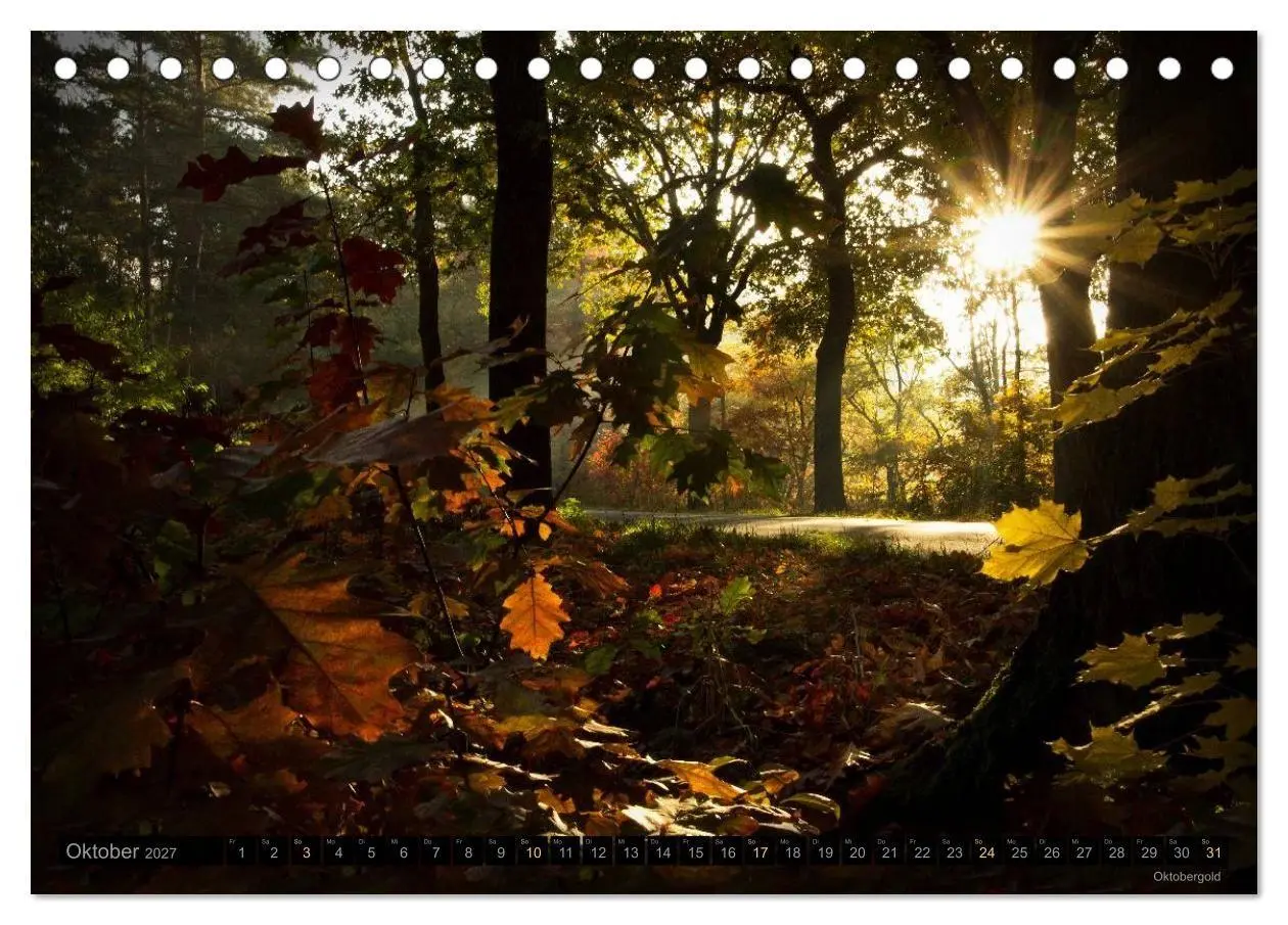 Bild: 9783594064054 | Traumlandschaften 2027 (Tischkalender 2027 DIN A5 quer), CALVENDO...