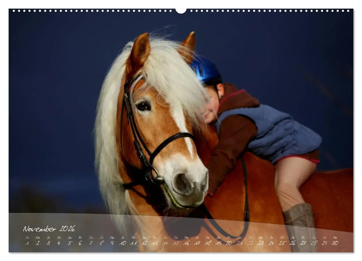 Bild: 9783457974254 | Haflinger-Pferde in Reinzucht (hochwertiger Premium Wandkalender...