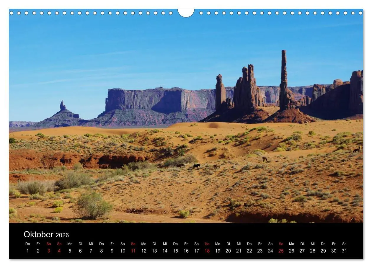 Bild: 9783516204254 | Wild beauty of Arizona (Wandkalender 2026 DIN A3 quer), CALVENDO...