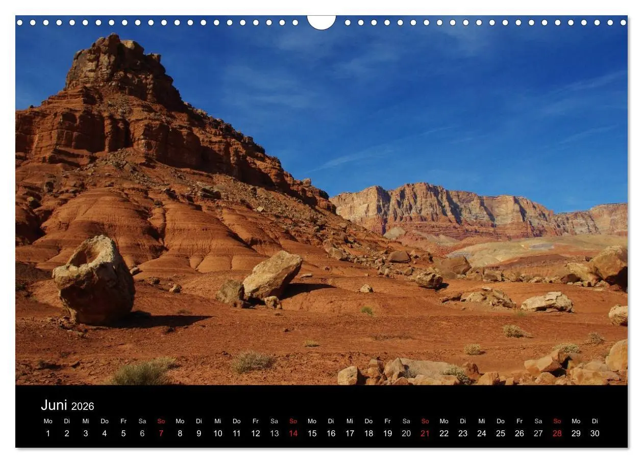 Bild: 9783516204254 | Wild beauty of Arizona (Wandkalender 2026 DIN A3 quer), CALVENDO...