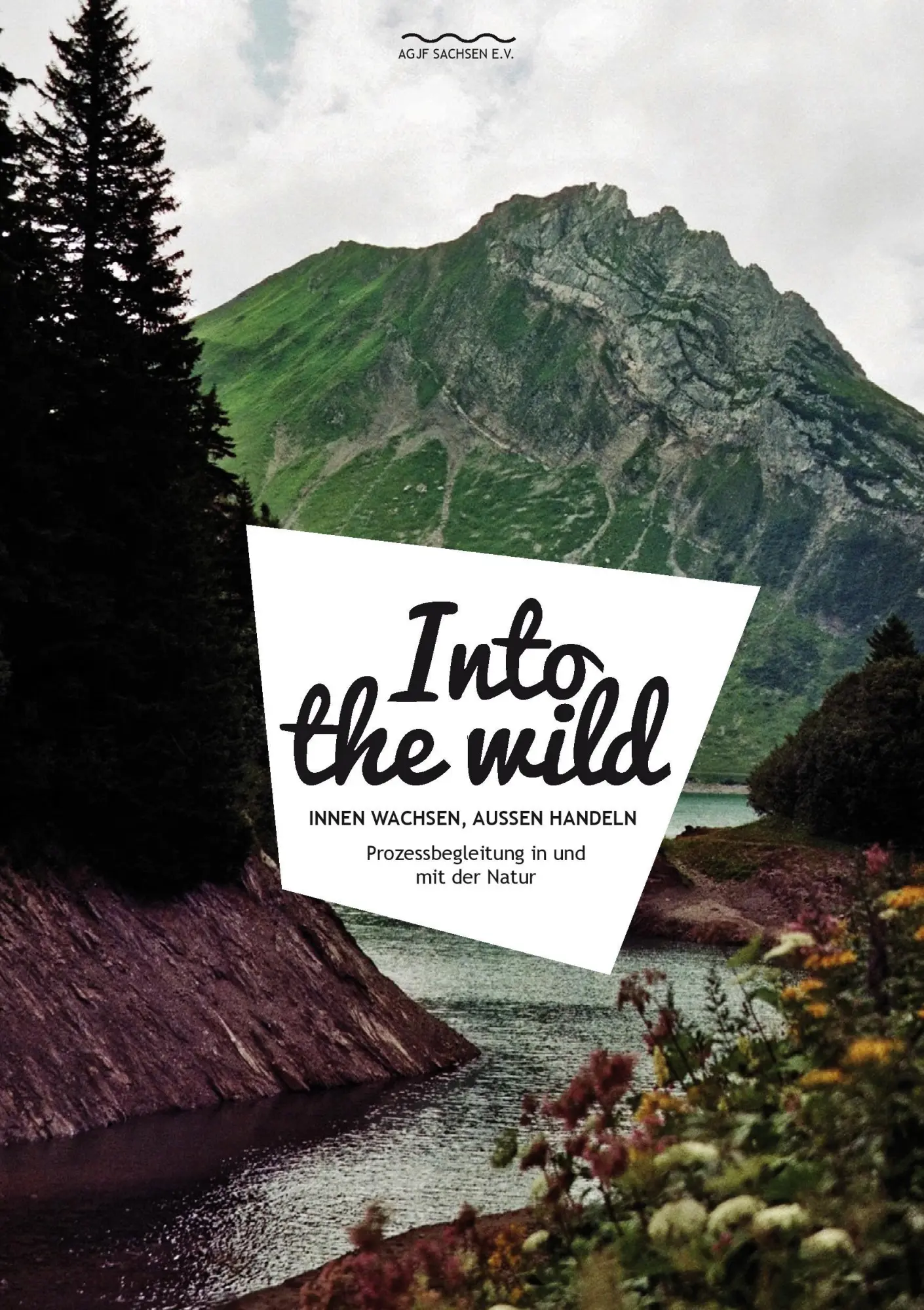 Cover: 9783734794254 | Into the wild | Prozessbegleitung in und mit der Natur | Taschenbuch