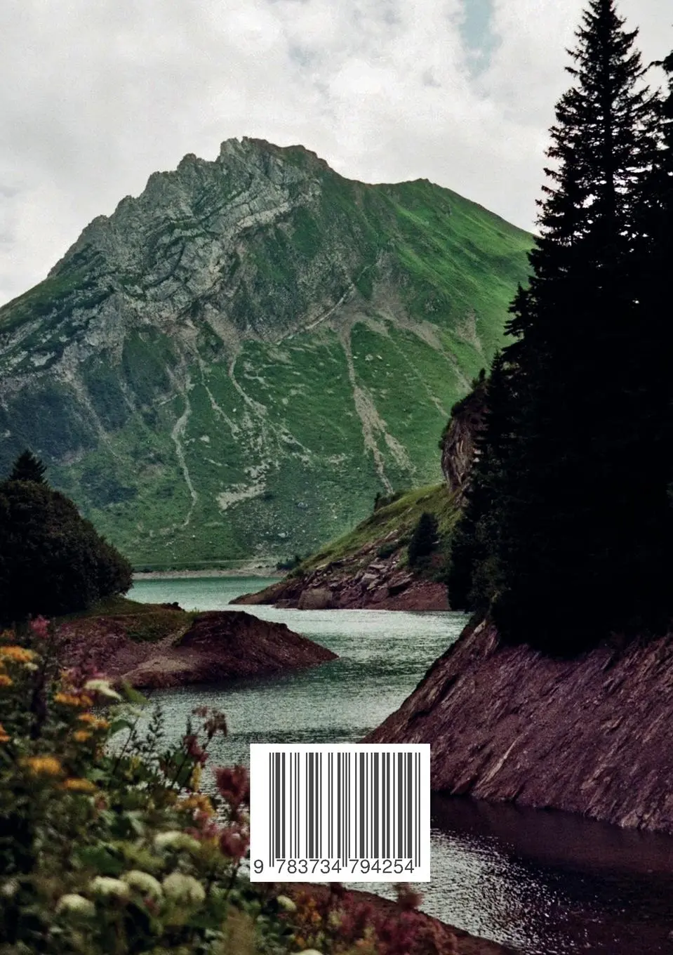 Rückseite: 9783734794254 | Into the wild | Prozessbegleitung in und mit der Natur | Taschenbuch